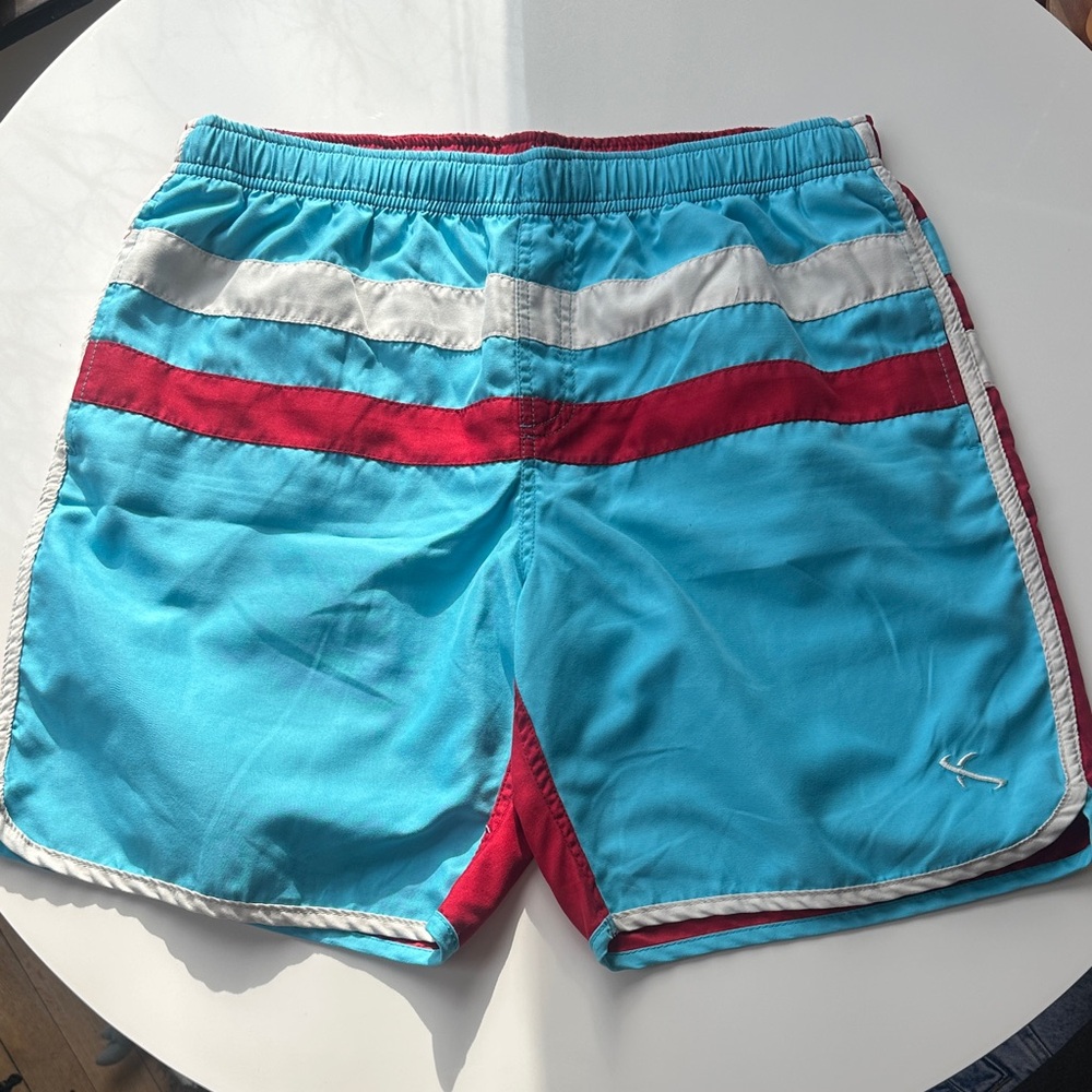 Lost Aqua and Red Swim Trunks
